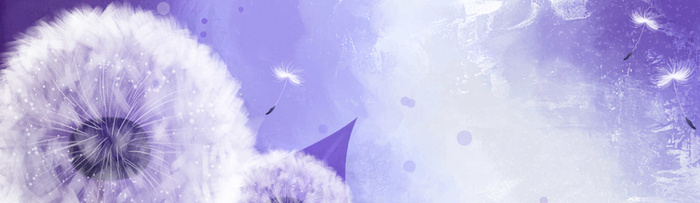 高清炫彩花卉banner背景高清