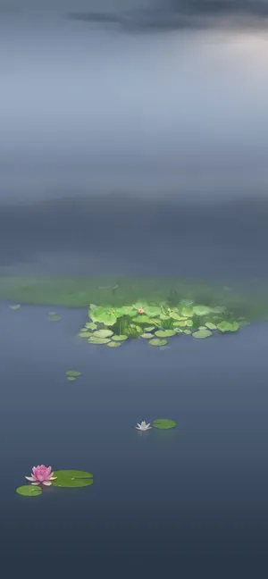 唯美的荷叶背景高清