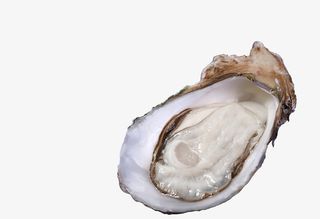 乳山生蚝生鲜免抠