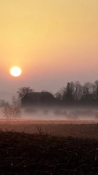 秋天唯美手机H5背景高清