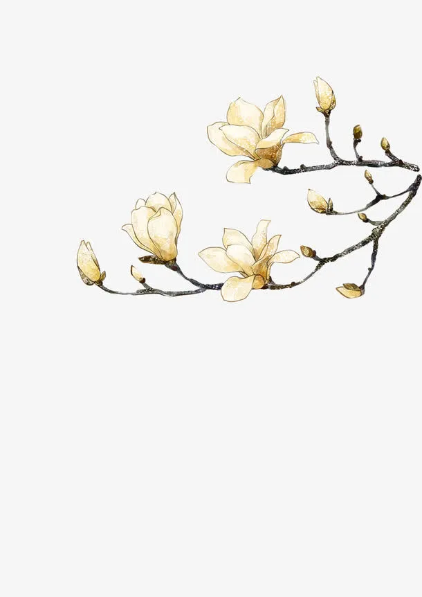 水墨兰花 梨花免抠