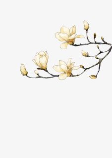 水墨兰花 梨花免抠