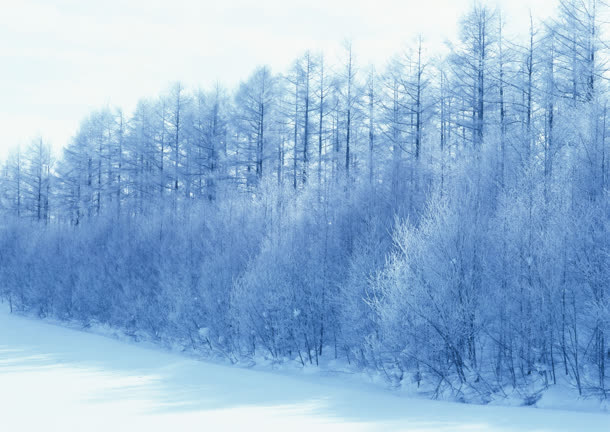 创意合成东北的雪景环境渲染免抠