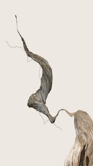 树木纹理淡黄色公司请柬H5背景高清