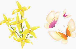 迎春花蝴蝶春季迎春素材免抠