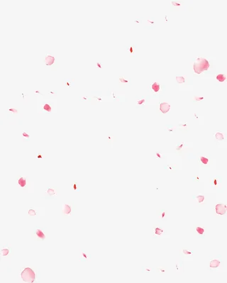 高清摄影活动海报红色飘洒花瓣免抠