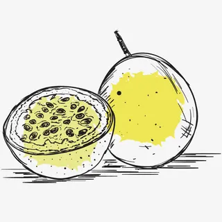 线条简笔画黄金百香果矢量免抠