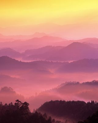 简约大气自然风光广告高清