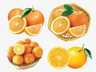 4款脐橙素材免抠