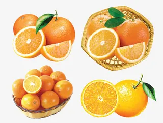 4款脐橙素材免抠