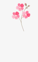 花卉免抠