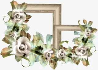 边框上的花朵免抠