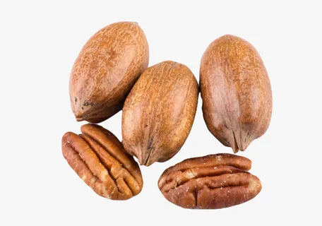 去皮的美味益智山核桃免抠 去皮的美味益智山核桃免抠