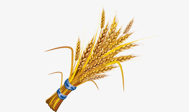麦穗免抠