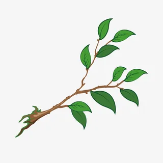 绿色树枝树苗免抠