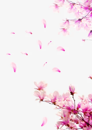 紫色清新花朵花瓣漂浮素材免抠