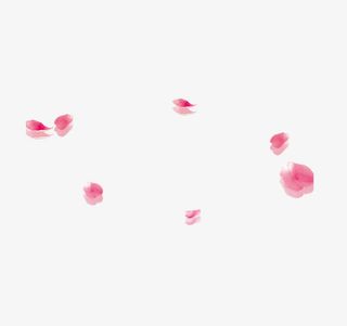 漂浮的玫瑰花免抠