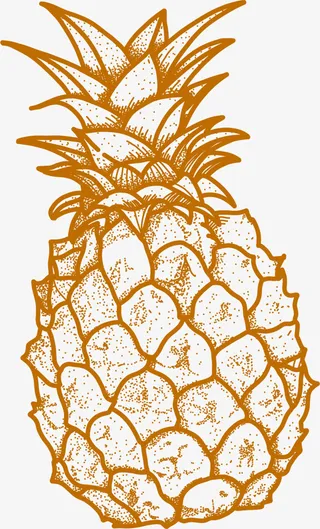 夏季手绘棕色菠萝免抠