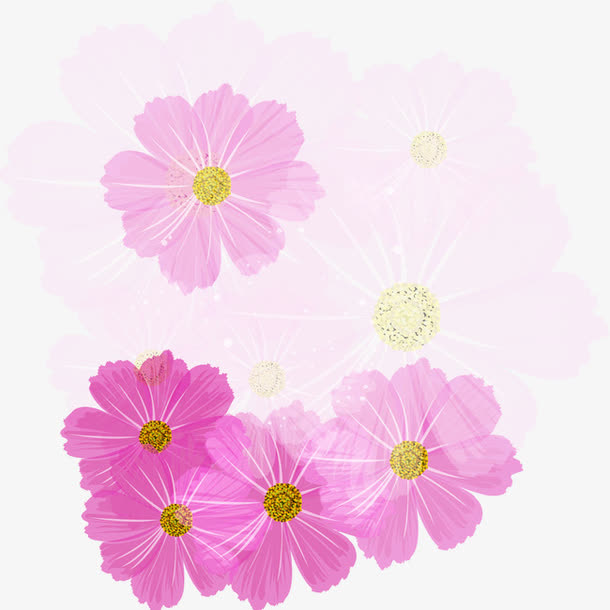 花瓣免抠
