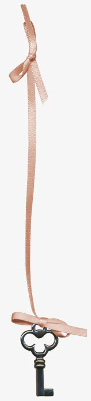 丝带挂件钥匙漂浮免抠