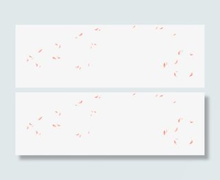 花瓣 花瓣飘浮底纹免抠