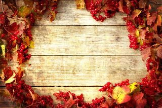 彩色时尚果子叶子背景