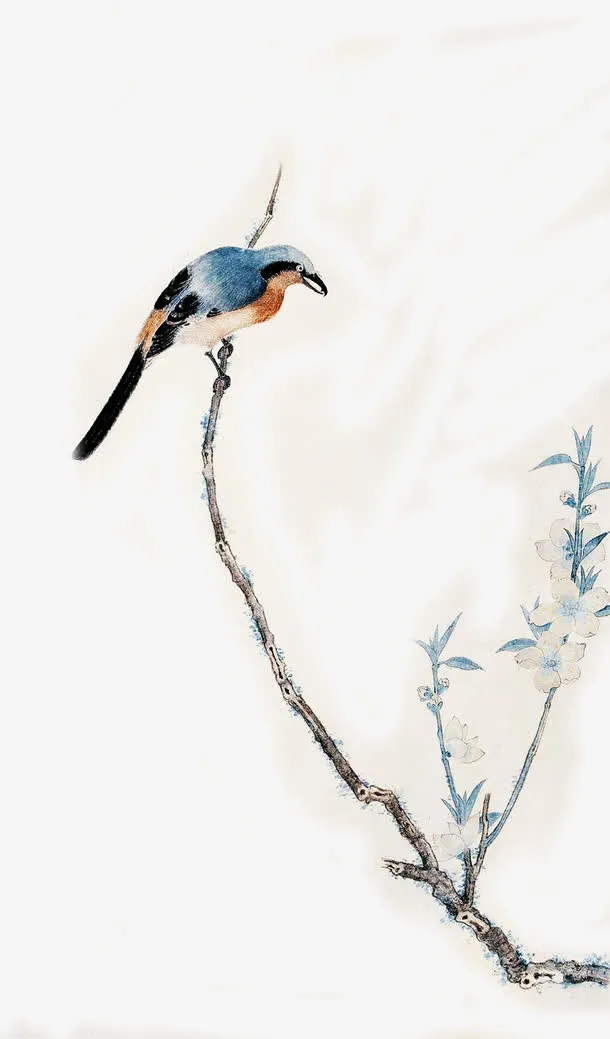 淡雅水彩小鸟树枝免抠