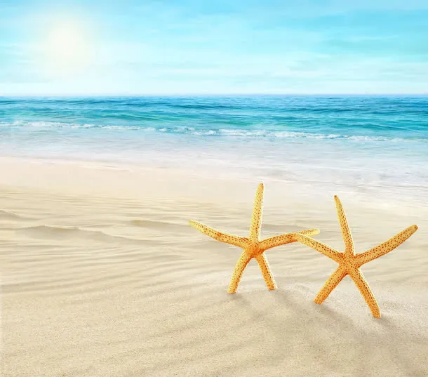 摄影沙滩海边蓝天海星海水免抠