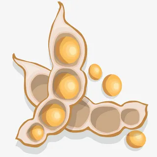 卡通黄豆矢量图下载免抠