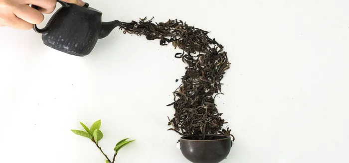 茶叶的创意拍菜鸟图库片高清