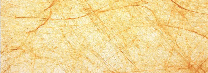 纸纹背景banner高清