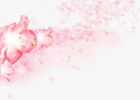 粉色回忆免抠 粉色回忆免抠