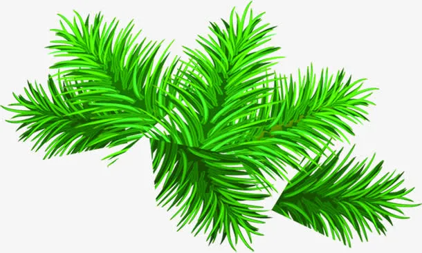 手绘新年绿色树枝装饰免抠