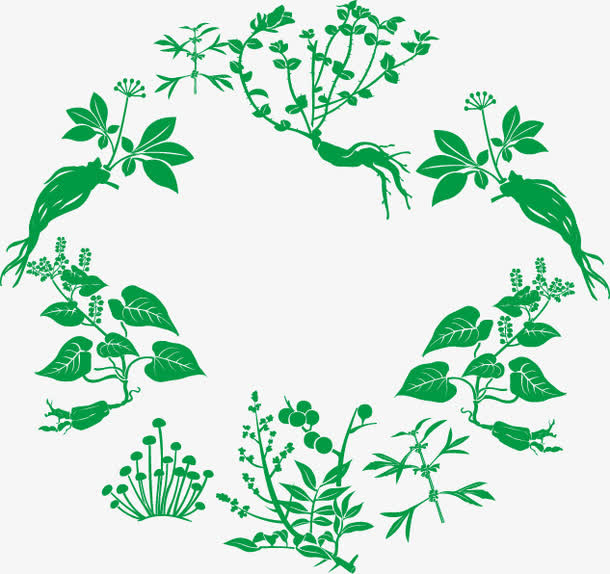 中草药矢量图免抠