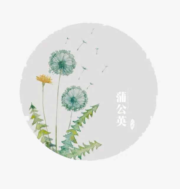 唯美的蒲公英免抠