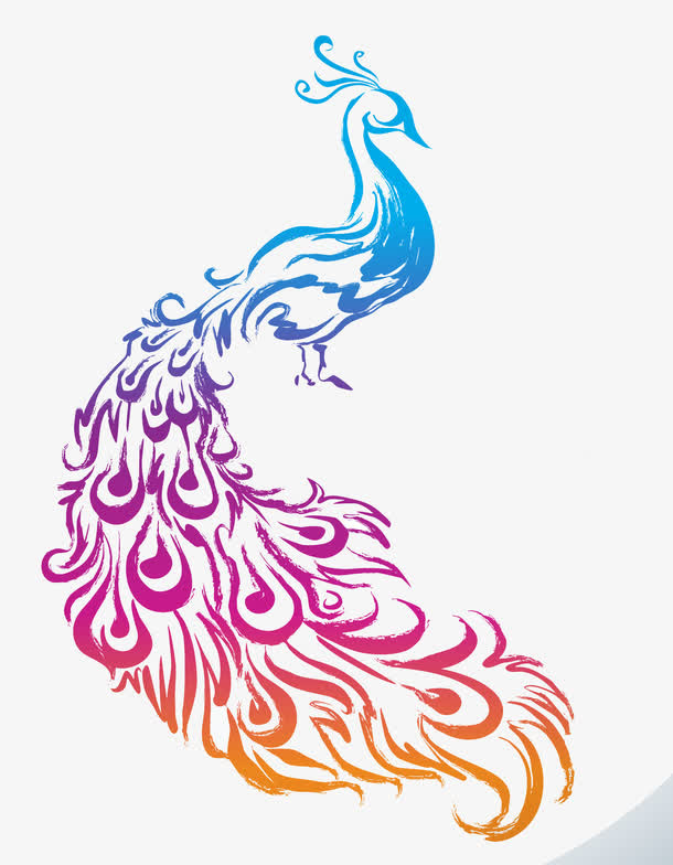孔雀免抠