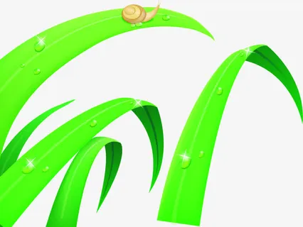 春天可爱树叶蜗牛露珠免抠