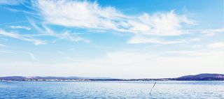 清新  背景高清