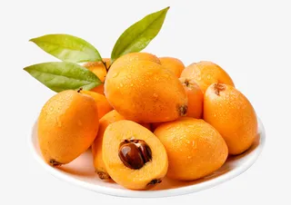 新鲜枇杷免抠素材免抠