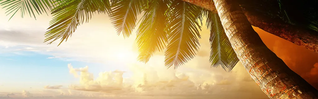 唯美浪漫夏天背景高清