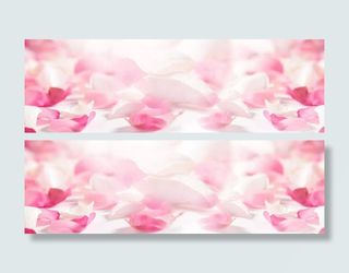 浪漫粉色白色花瓣免抠