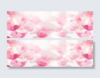 浪漫粉色白色花瓣免抠