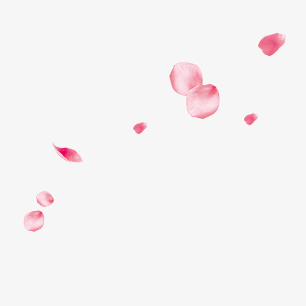 花瓣漂浮素材免抠
