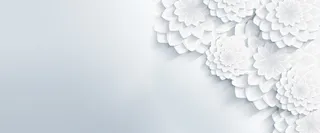 扁平花朵背景高清