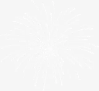 春节白色绽放的烟花免抠