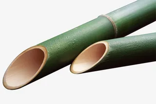 植物，竹子，竹筒，PNG免抠