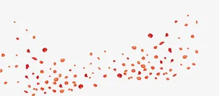 唯美精美漂浮花瓣免抠