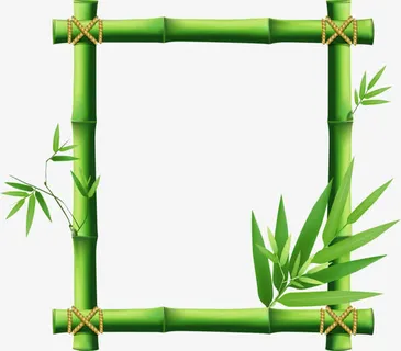 竹子边框免抠 竹子边框免抠