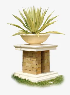 墙上的花坛免抠