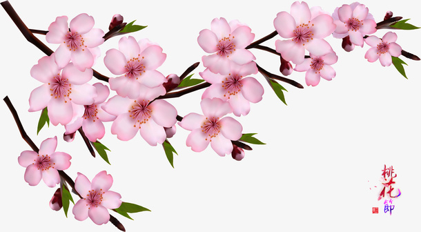 春天桃花节桃花图案免抠